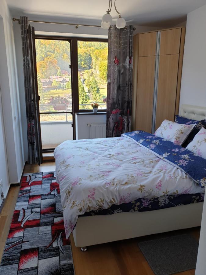Ferienwohnung Sophie Apartament Sinaia Exterior foto