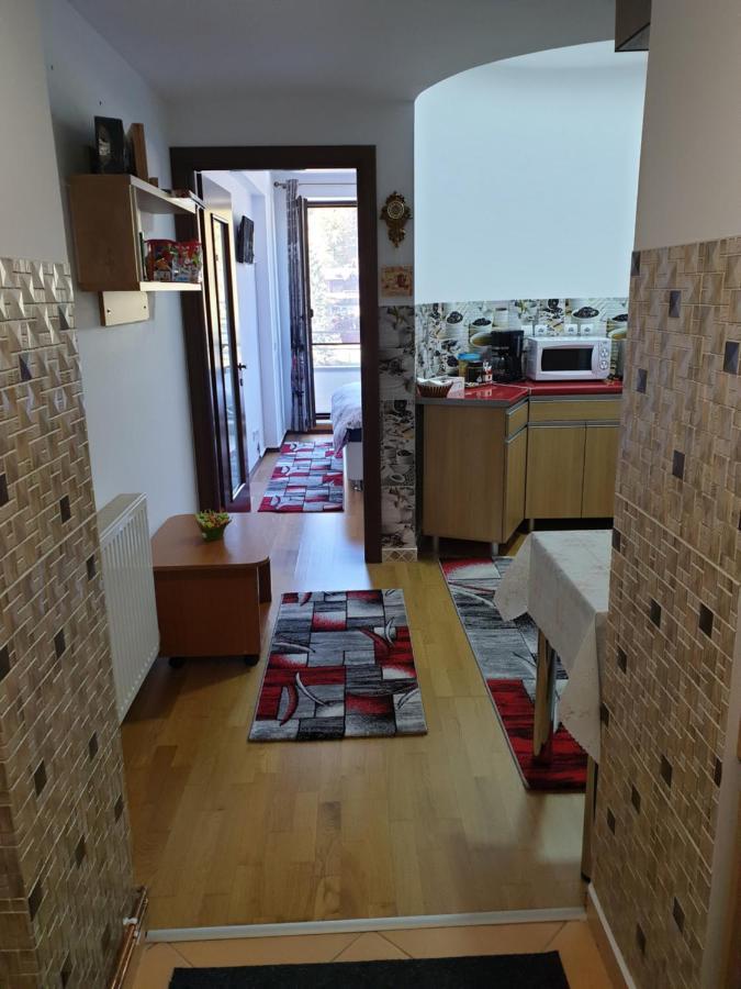 Ferienwohnung Sophie Apartament Sinaia Exterior foto