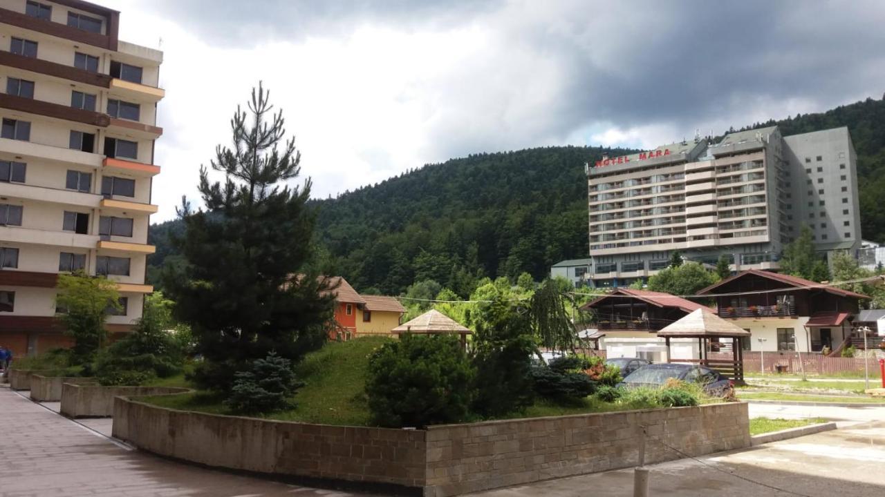 Ferienwohnung Sophie Apartament Sinaia Exterior foto