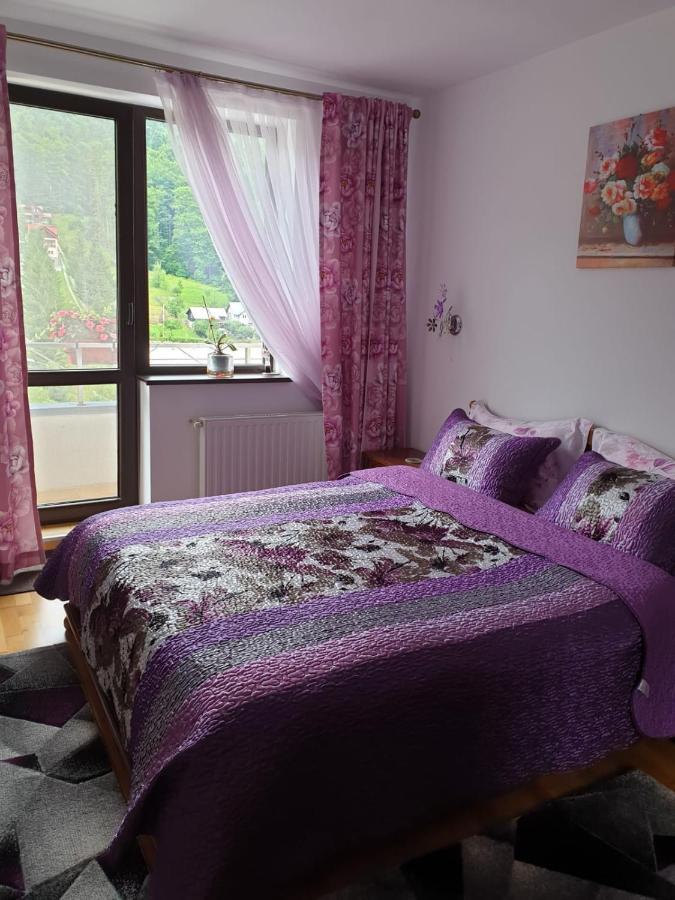 Ferienwohnung Sophie Apartament Sinaia Exterior foto