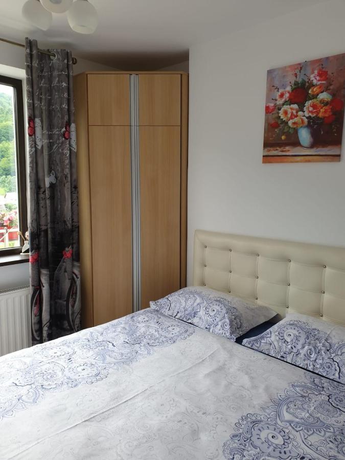 Ferienwohnung Sophie Apartament Sinaia Exterior foto