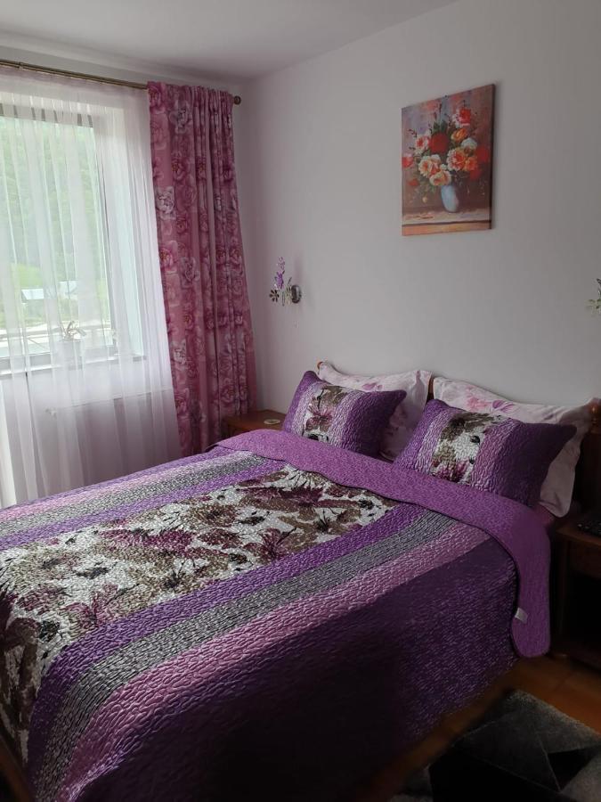 Ferienwohnung Sophie Apartament Sinaia Exterior foto