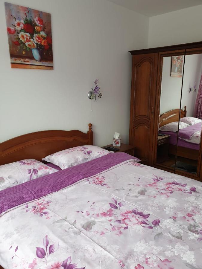 Ferienwohnung Sophie Apartament Sinaia Exterior foto