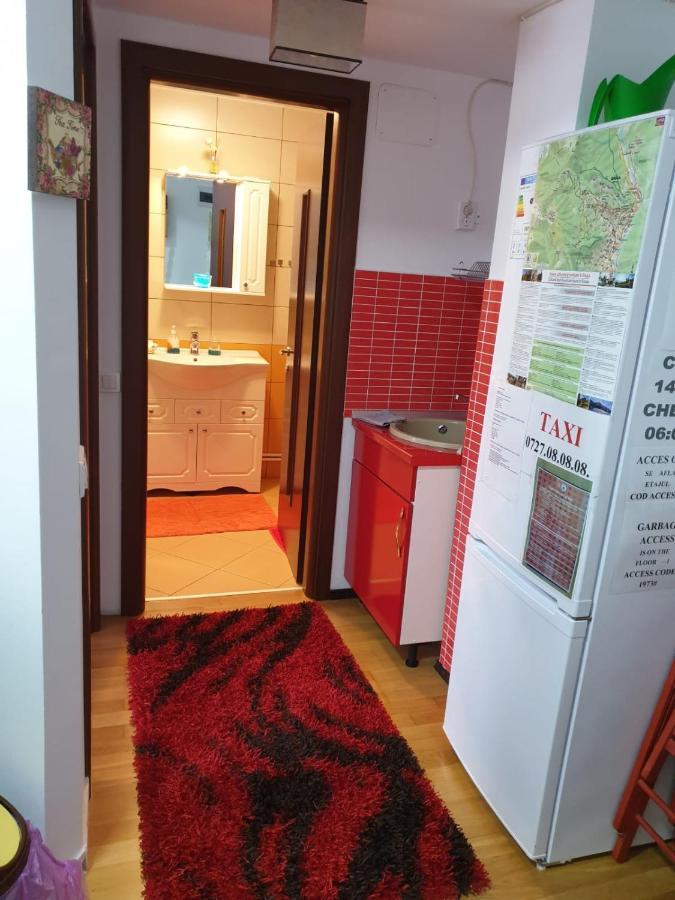 Ferienwohnung Sophie Apartament Sinaia Exterior foto
