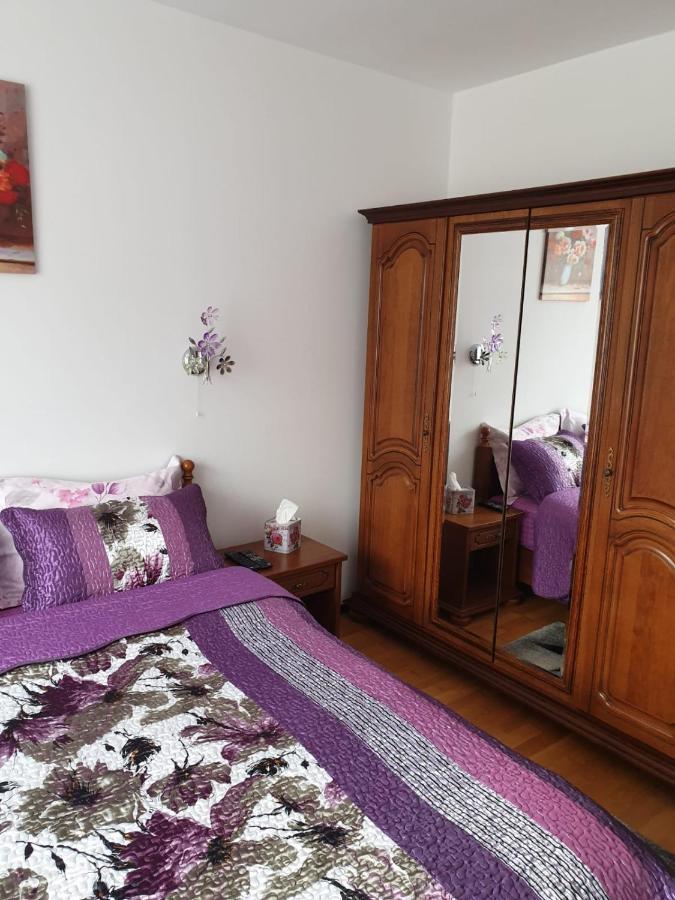 Ferienwohnung Sophie Apartament Sinaia Exterior foto