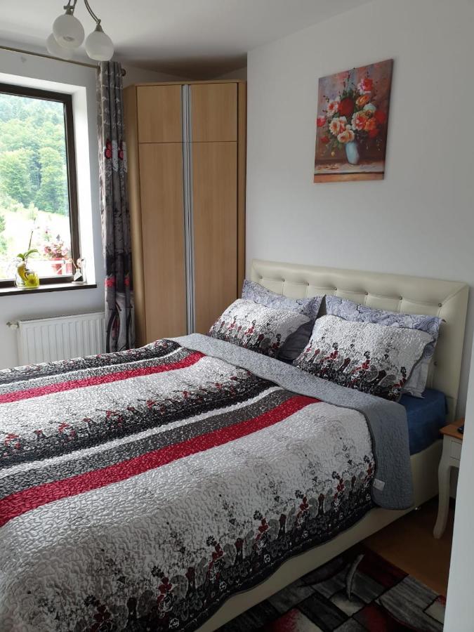 Ferienwohnung Sophie Apartament Sinaia Exterior foto