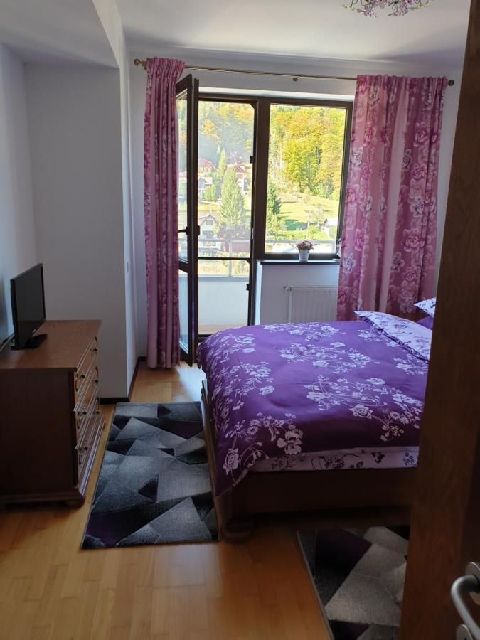 Ferienwohnung Sophie Apartament Sinaia Exterior foto
