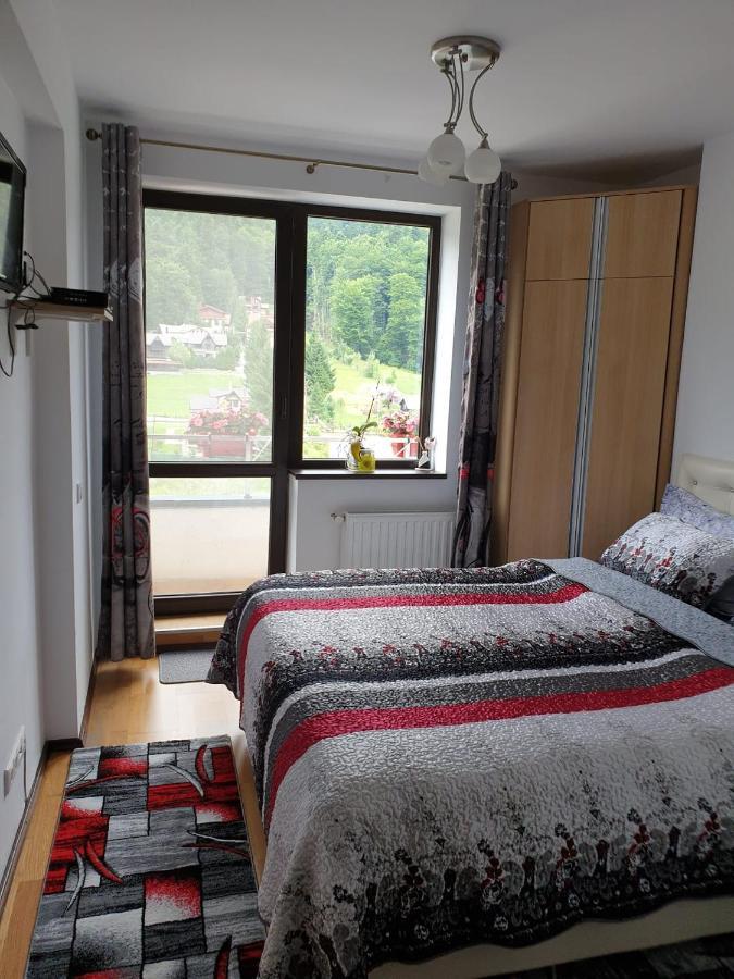 Ferienwohnung Sophie Apartament Sinaia Exterior foto