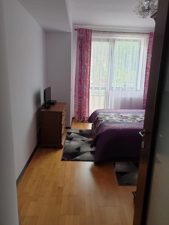 Ferienwohnung Sophie Apartament Sinaia Exterior foto