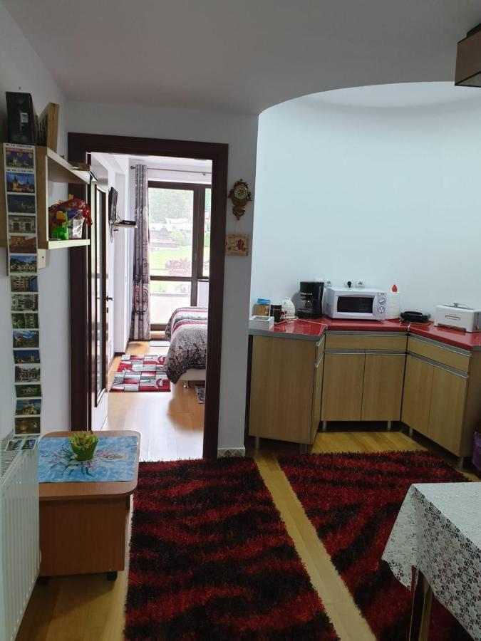 Ferienwohnung Sophie Apartament Sinaia Exterior foto