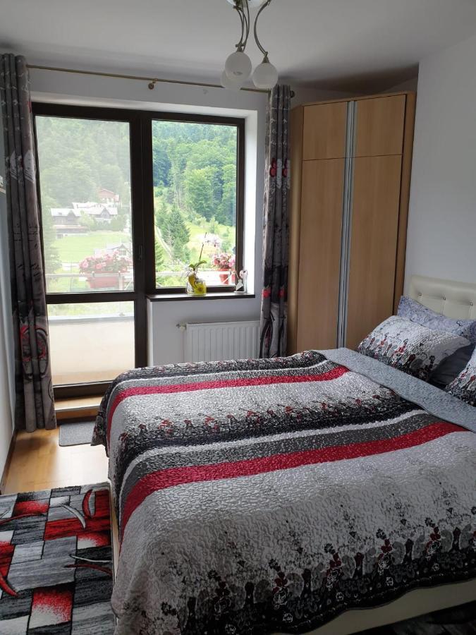 Ferienwohnung Sophie Apartament Sinaia Exterior foto
