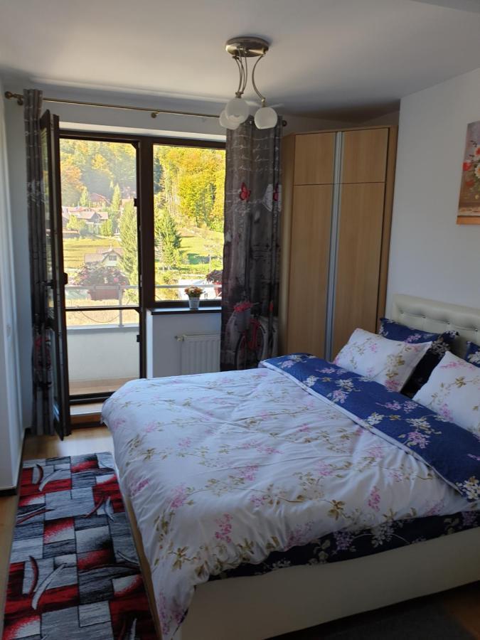 Ferienwohnung Sophie Apartament Sinaia Exterior foto