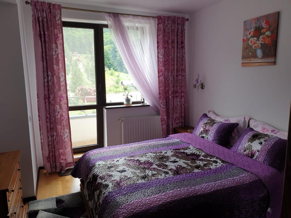 Ferienwohnung Sophie Apartament Sinaia Exterior foto