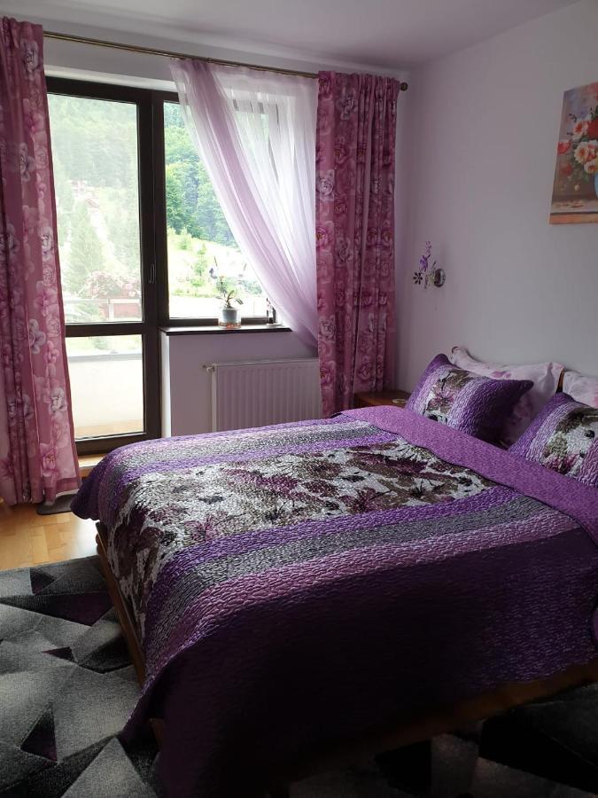 Ferienwohnung Sophie Apartament Sinaia Exterior foto